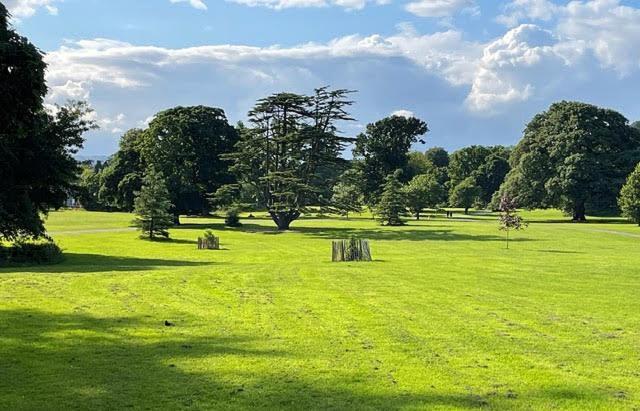 Villa Crotlieve Barn Rostrevor Esterno foto